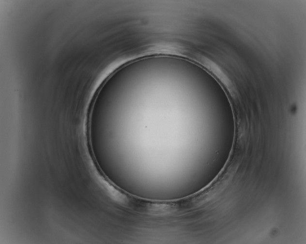 X0000101401339200807141148