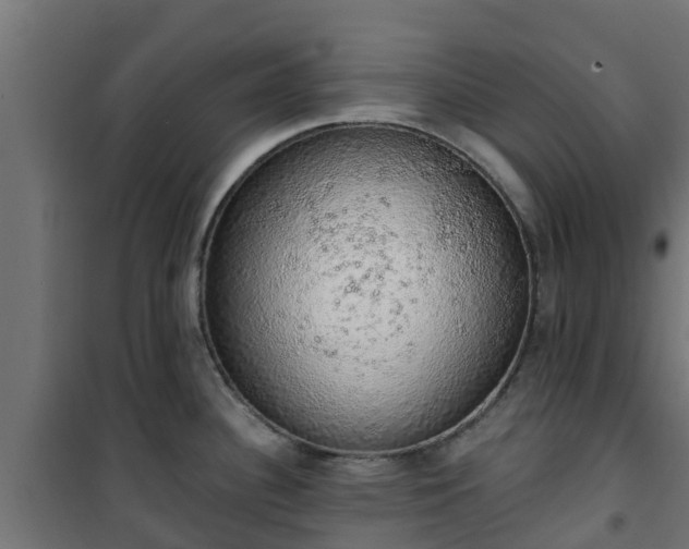 X0000101401340200807141148