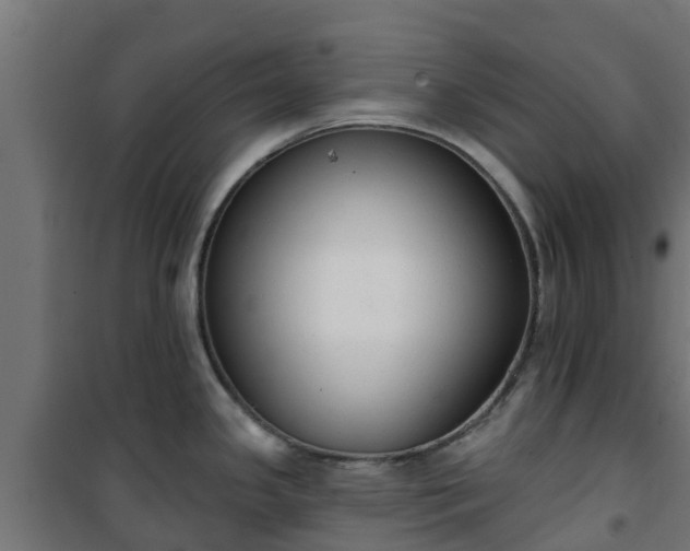 X0000101401341200807141148