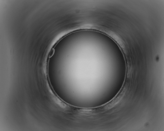 X0000101401342200807141148