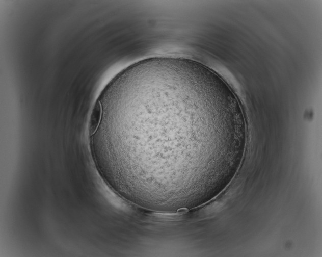 X0000101401344200807141148