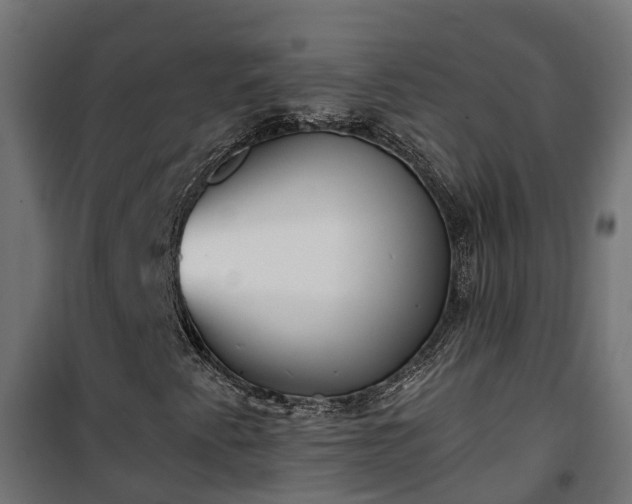 X0000101401345200807141147