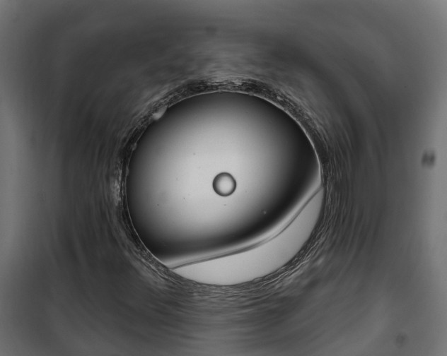 X0000101401348200807141147