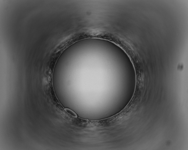 X0000101401349200807141147