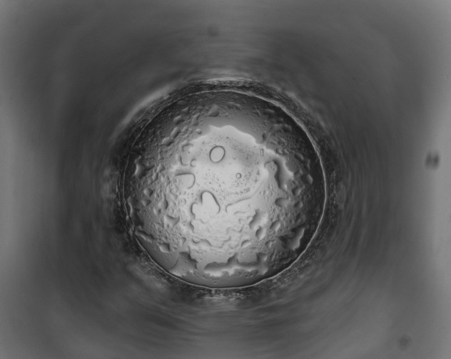 X0000101401351200807141147