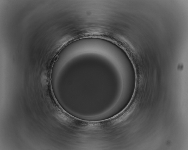 X0000101401353200807141147