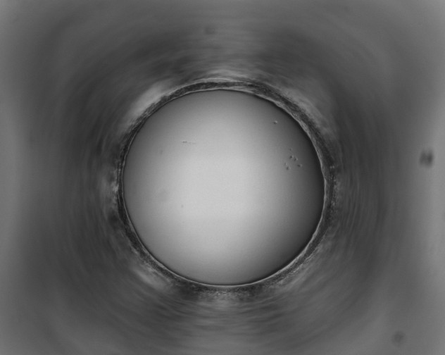 X0000101401355200807141147