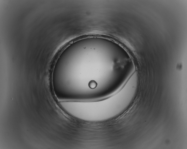 X0000101401356200807141147