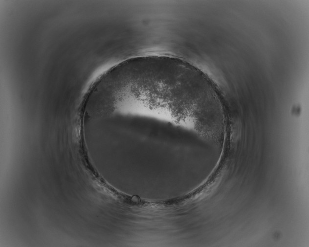 X0000101401358200807141147