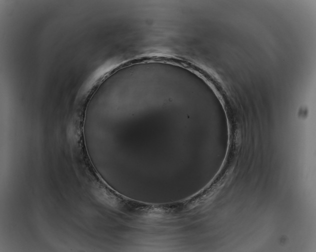 X0000101401359200807141147