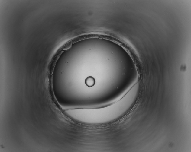 X0000101401360200807141147