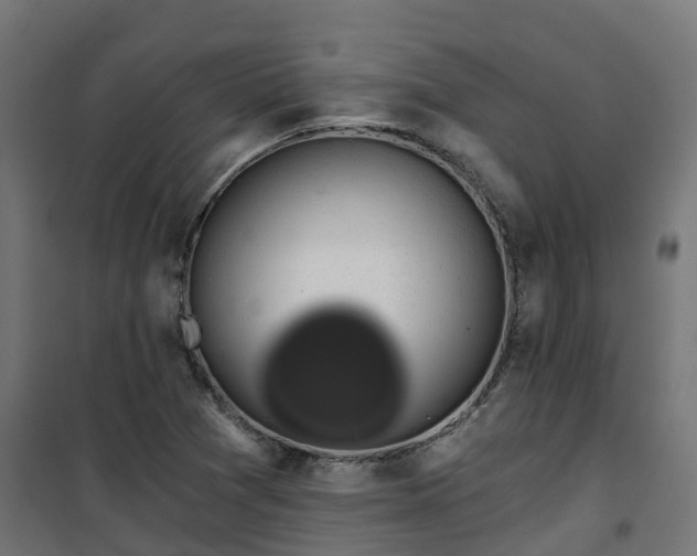 X0000101401361200807141147