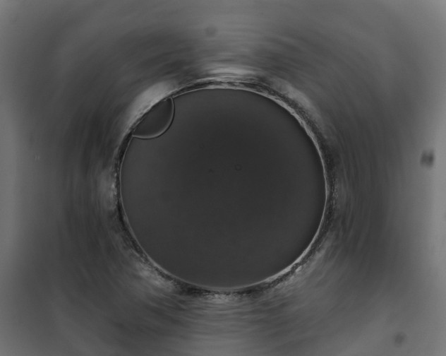 X0000101401362200807141147