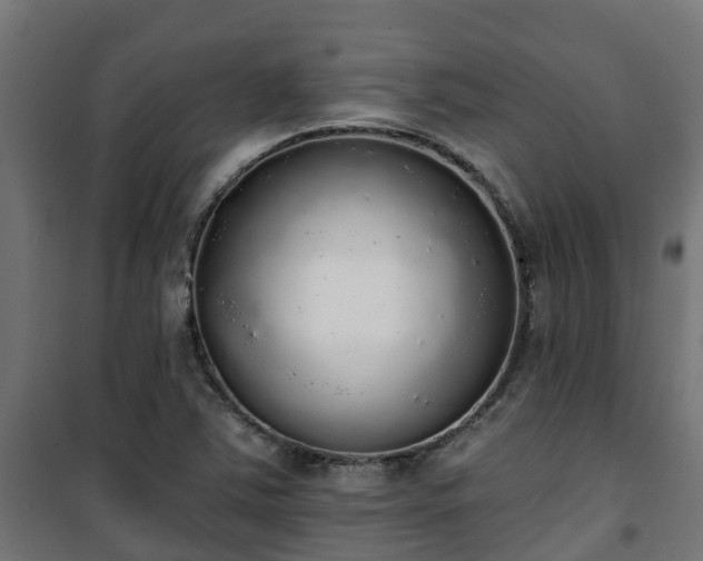 X0000101401363200807141147