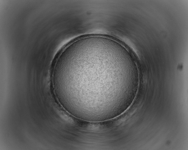 X0000101401364200807141147