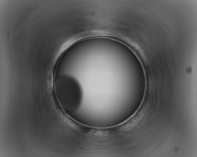 X0000101401365200807141146