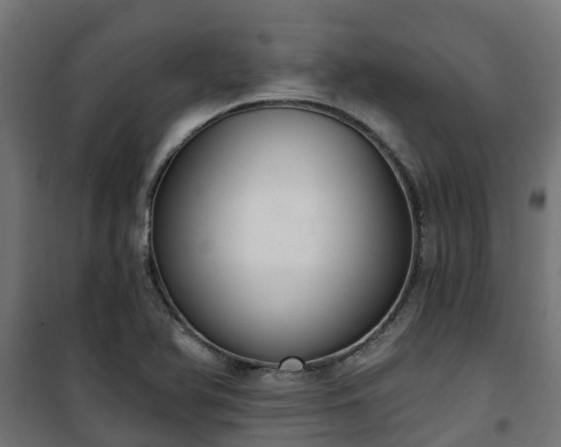 X0000101401366200807141146