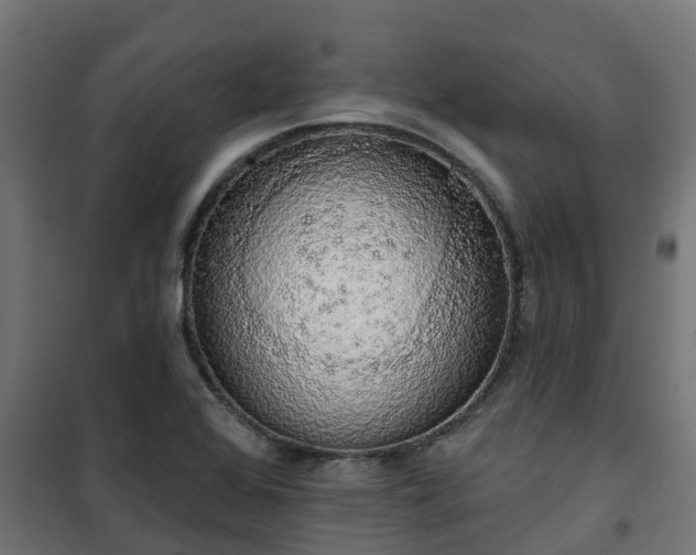 X0000101401368200807141146