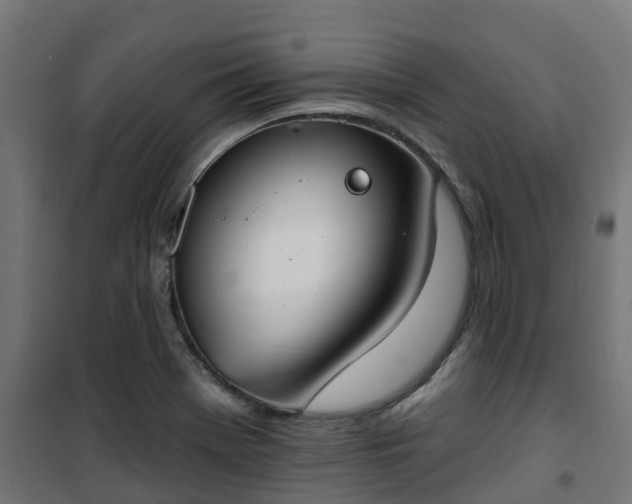 X0000101401369200807141146