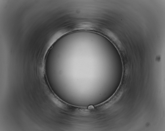 X0000101401370200807141146