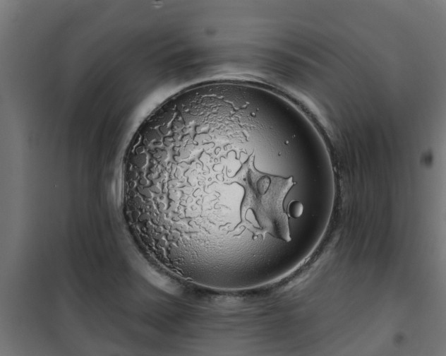 X0000101401371200807141146