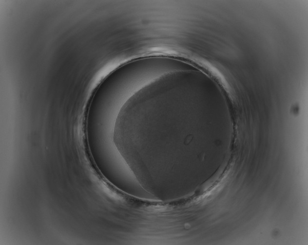 X0000101401373200807141146