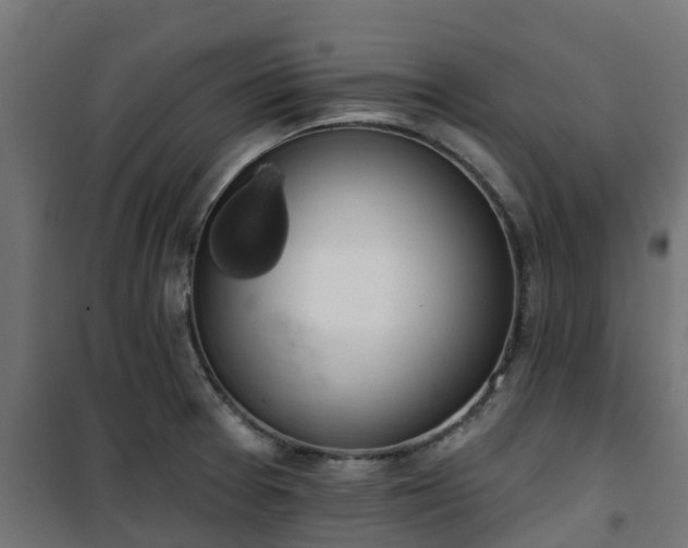 X0000101401377200807141146