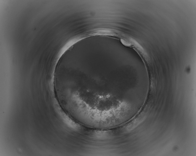 X0000101401378200807141146