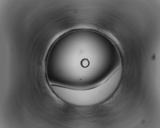 X0000101401380200807141146