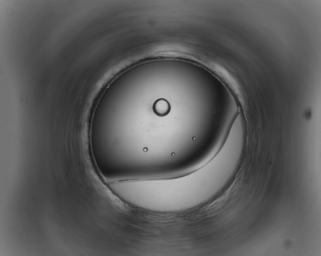 X0000101401384200807141146