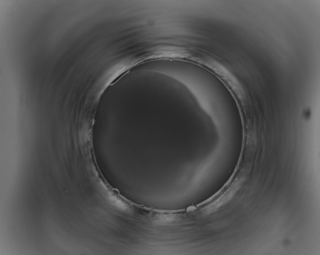 X0000101401385200807141146