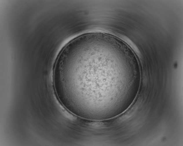 X0000101401388200807141146