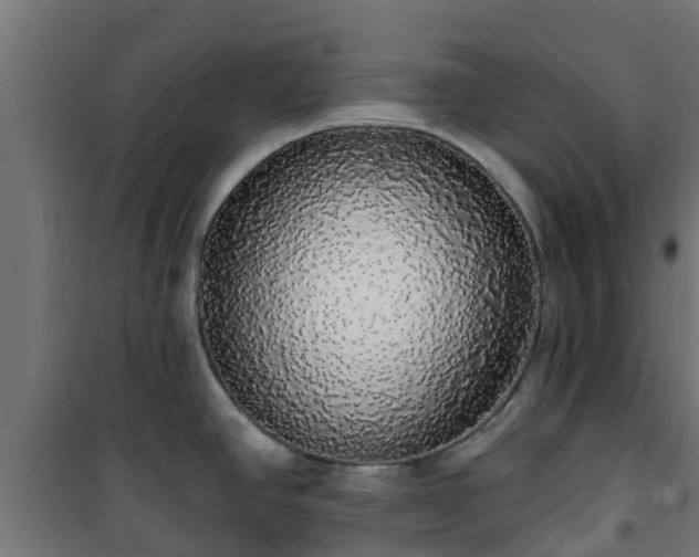 X0000101401390200807141146