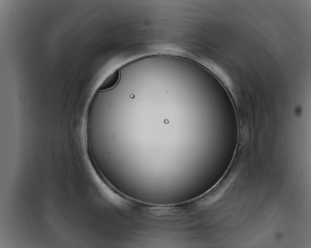 X0000101401391200807141146