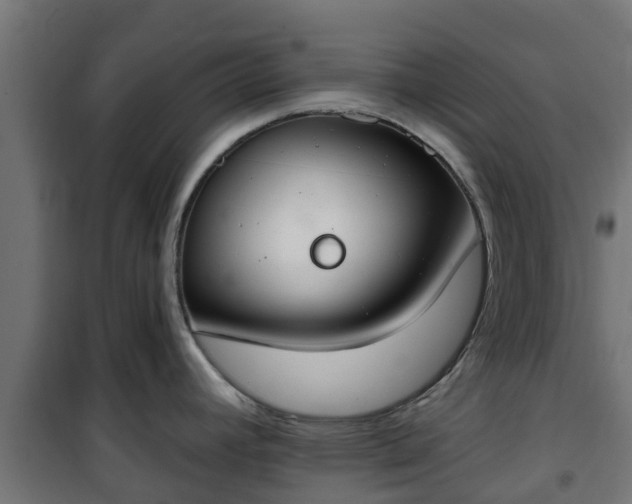 X0000101401392200807141146