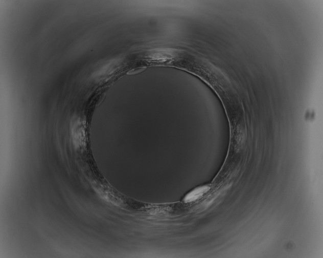 X0000101401394200807141145