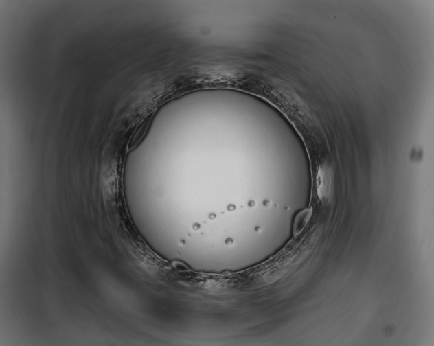 X0000101401395200807141145