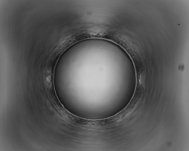 X0000101401396200807141145