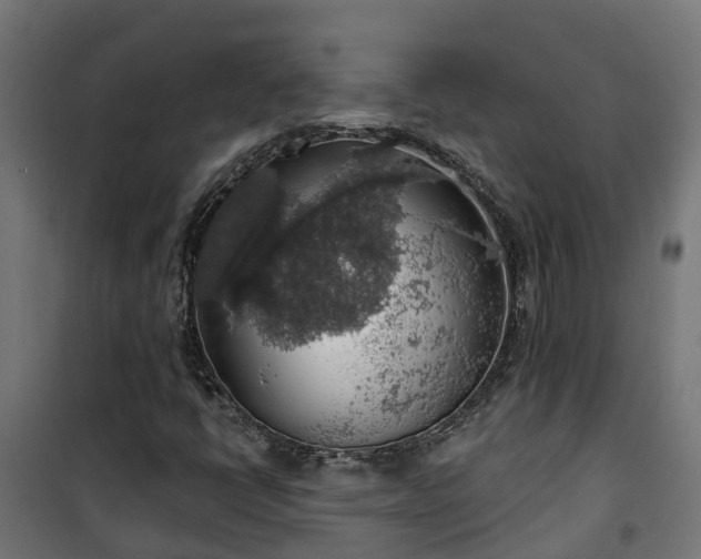 X0000101401398200807141145