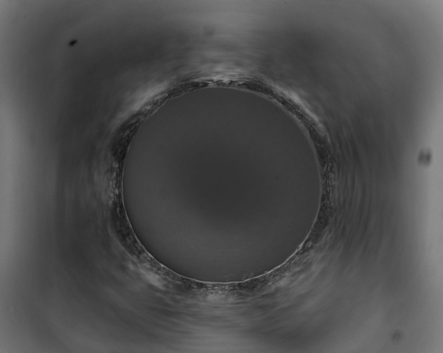 X0000101401399200807141146