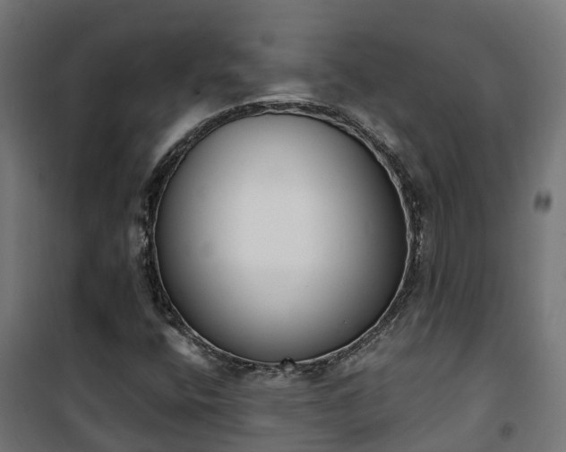 X0000101401400200807141146