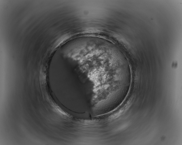 X0000101401401200807141146