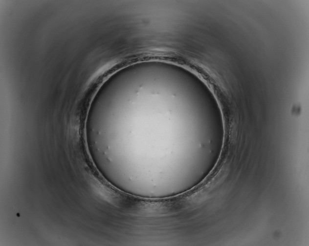 X0000101401402200807141146