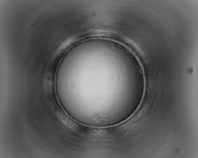 X0000101401403200807141146