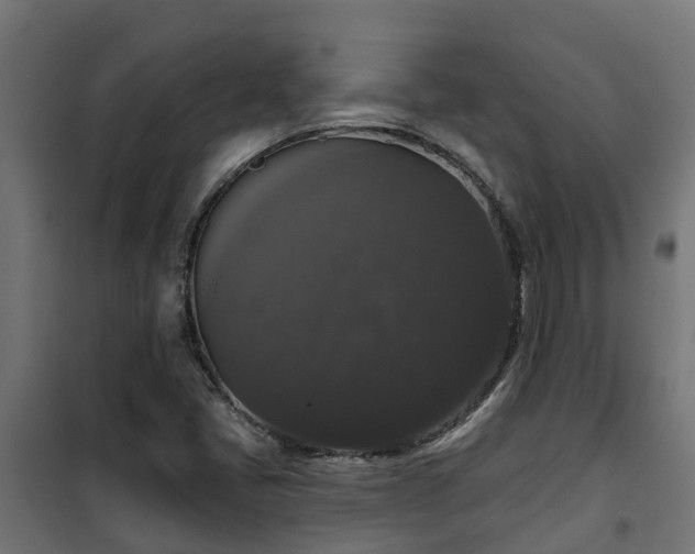 X0000101401405200807141146