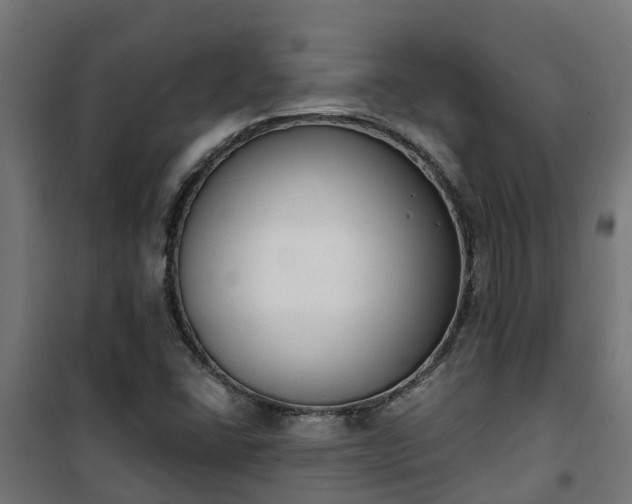 X0000101401406200807141146