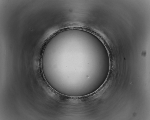 X0000101401407200807141146