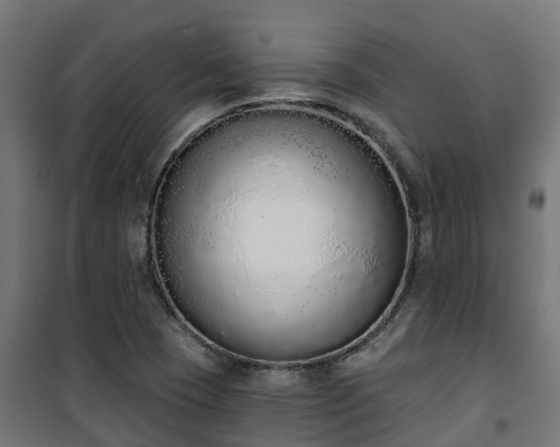 X0000101401409200807141146