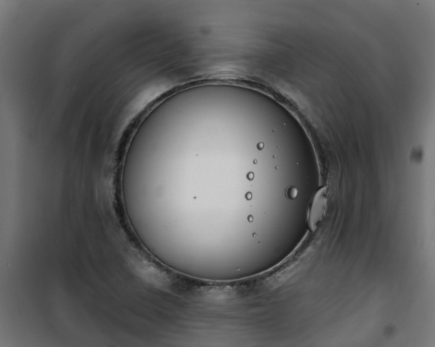 X0000101401410200807141146