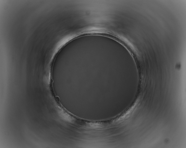 X0000101401413200807141146